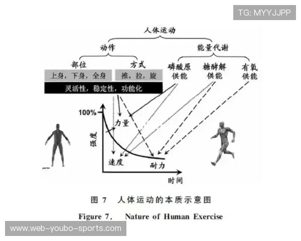 运动表现深度解析与技术优化策略在竞技训练中的应用研究